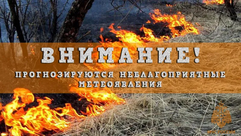 По данным ФГБУ «Верхне-Волжское УГМС», в период с 20 по 25 мая 2023г. местами по Нижегородской области сохранится высокая пожароопасность лесов и торфяников (4 класс).